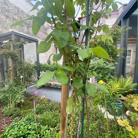 Appartamento Koko Garden *