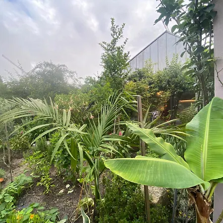 Koko Garden