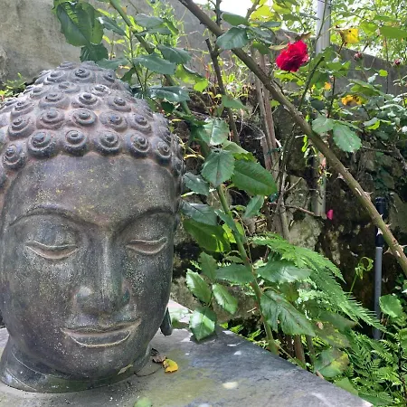 Koko Garden Appartement